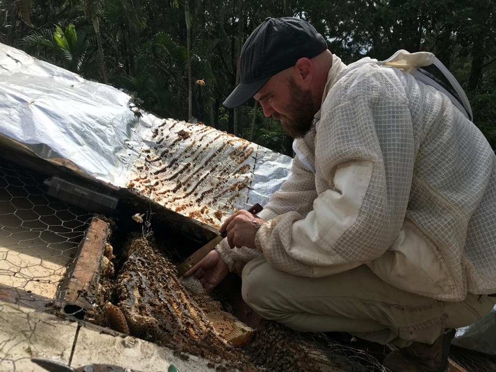 Pete Wilkins attending his Flow Hive beehive